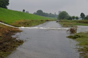 Überflutung am Rheinradweg - hier geht nichts mehr!